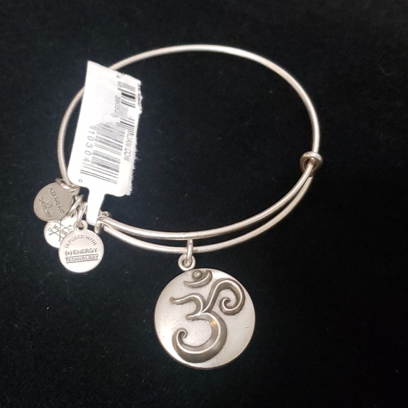NWT Alex and Ani RS Ohm III 2016 - Picture 8 of 9